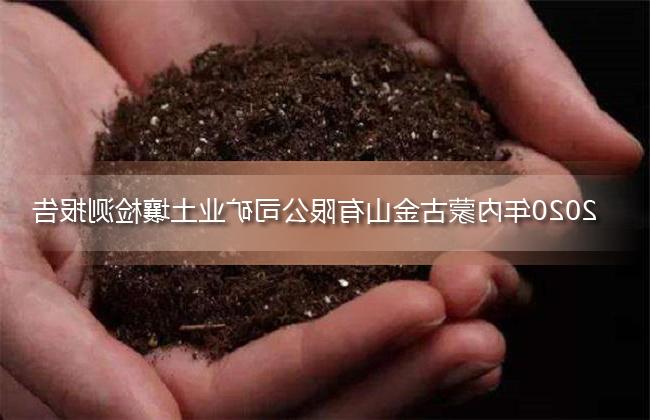 2020年内蒙古金山有限公司矿业土壤检测报告